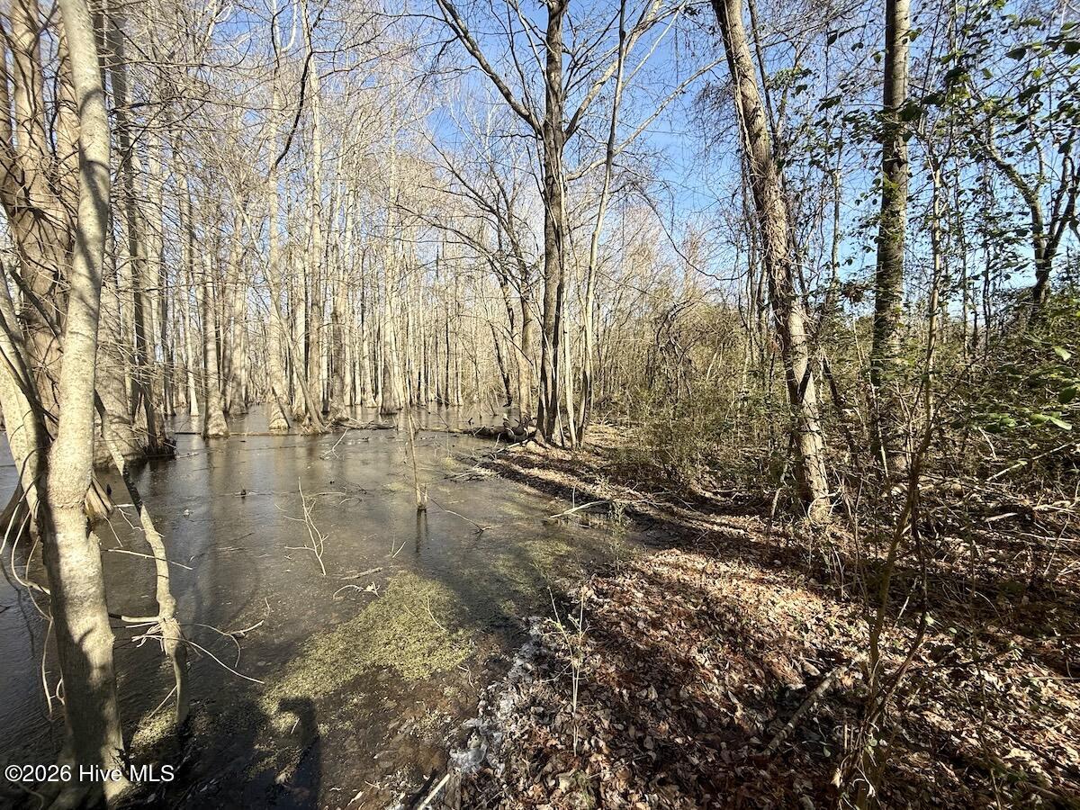 431 Icaria Road Tyner, NC 27980 - Photo 44 of 56 44