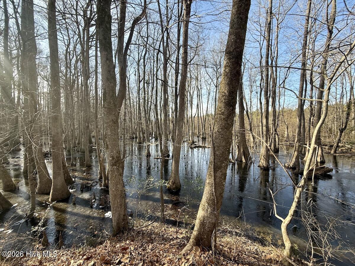 431 Icaria Road Tyner, NC 27980 - Photo 46 of 56 46