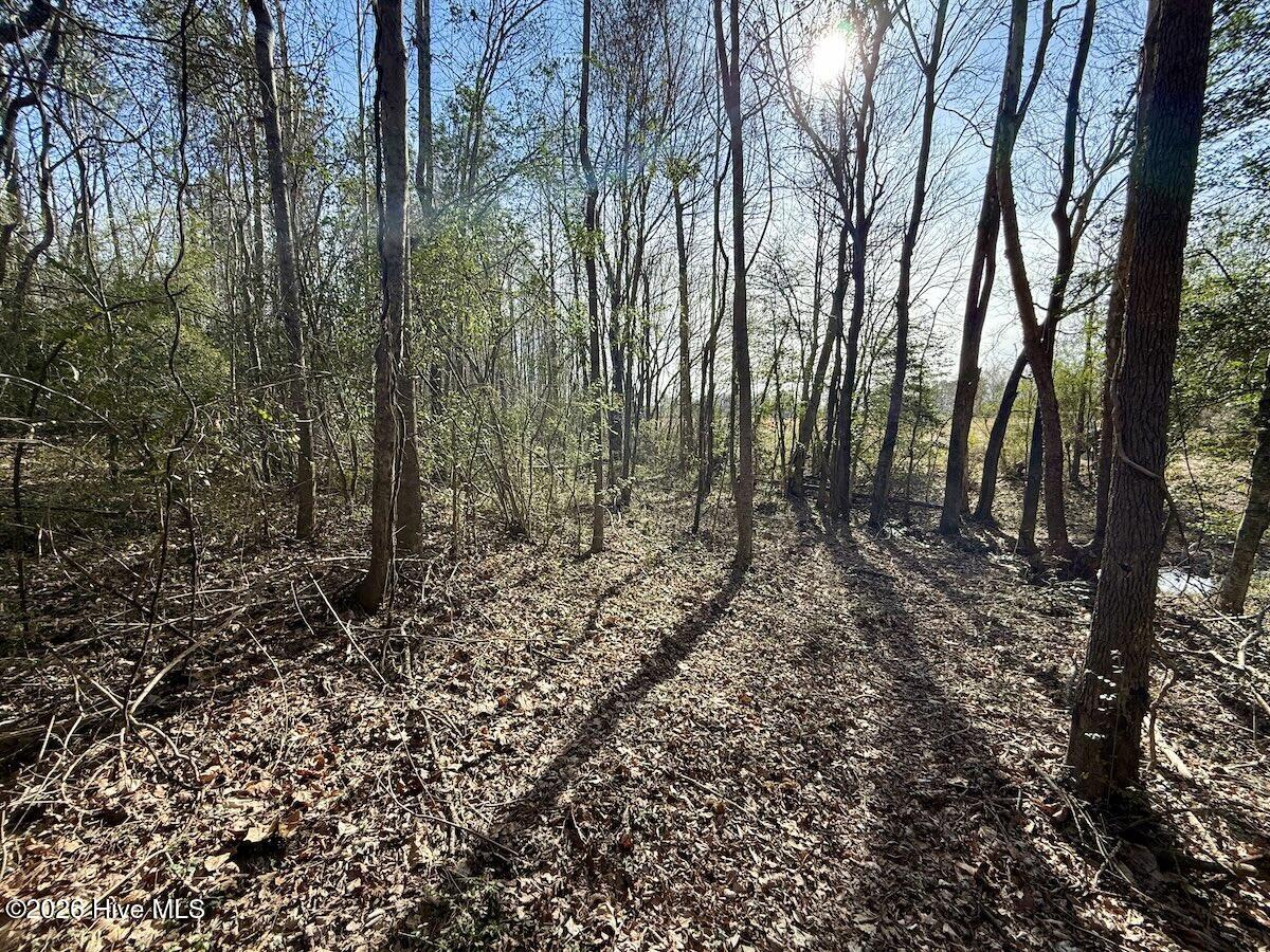 431 Icaria Road Tyner, NC 27980 - Photo 50 of 56 50