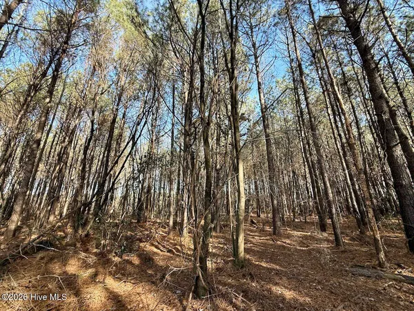 $549,900 | 431 Icaria Road, Tyner, NC 27980