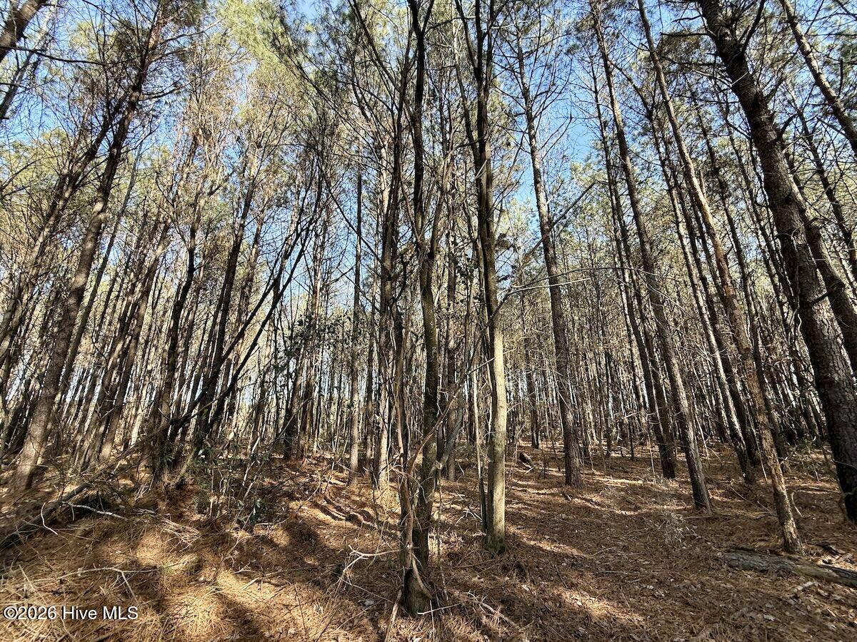 431 Icaria Road Tyner, NC 27980 - Photo 54 of 56 54