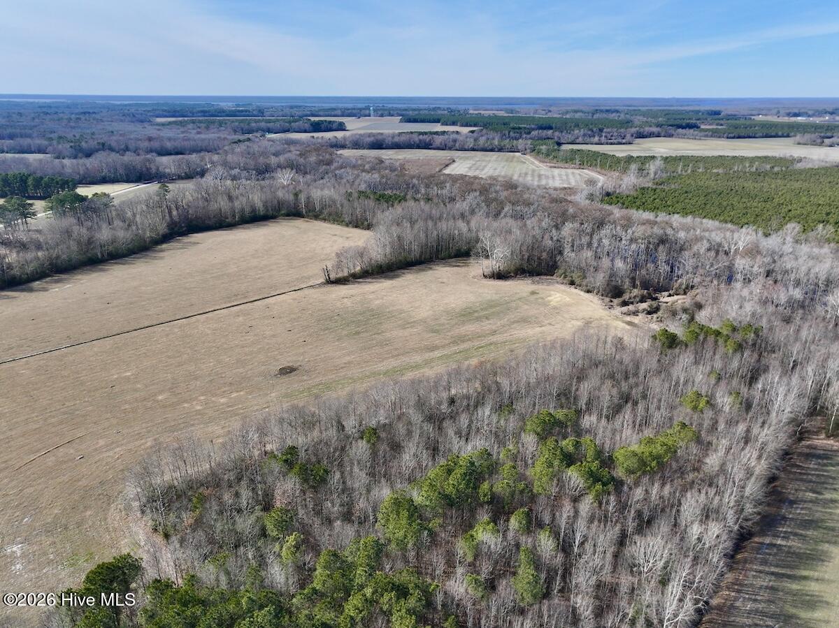 431 Icaria Road Tyner, NC 27980 - Photo 7 of 56 7