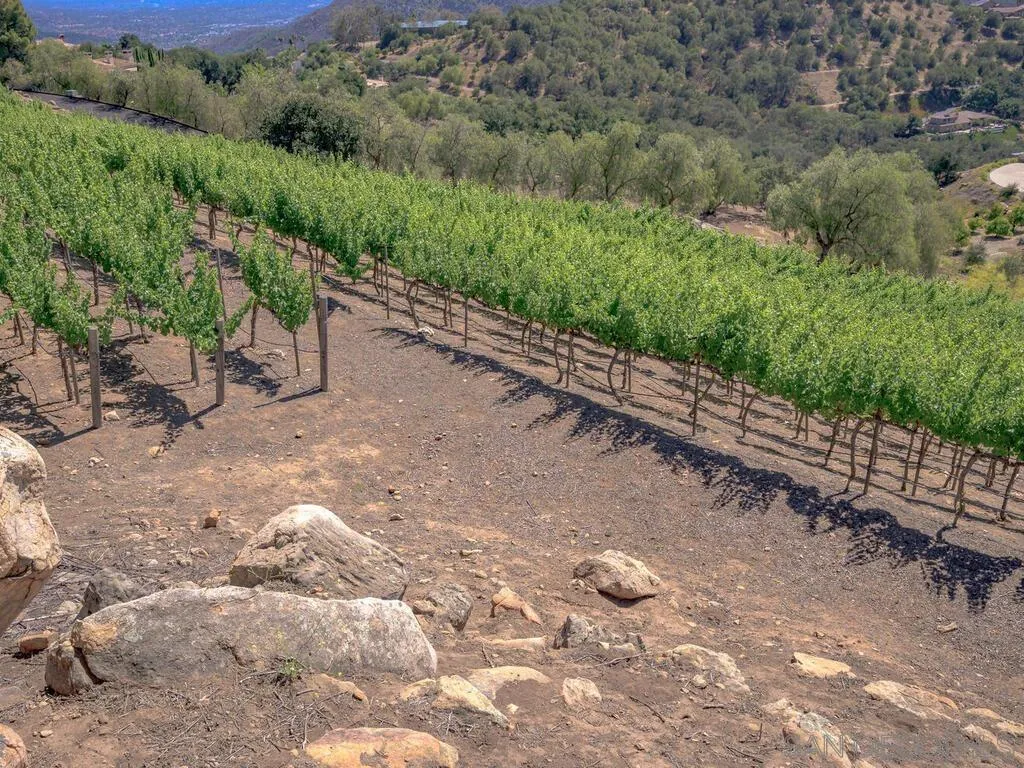 14490 Ridge Ranch Road Escondido, CA 92027 - Photo 52 of 74 a view of a road with a yard