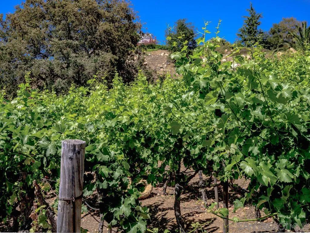 14490 Ridge Ranch Road Escondido, CA 92027 - Photo 59 of 74