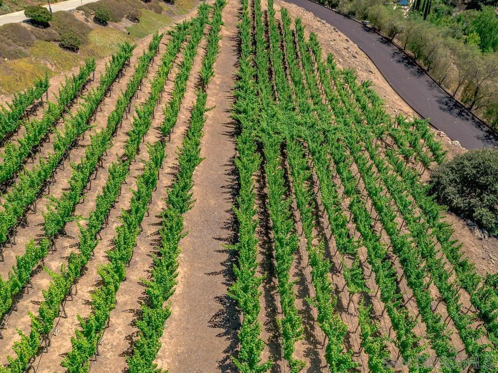 14490 Ridge Ranch Road Escondido, CA 92027 - Photo 60 of 74