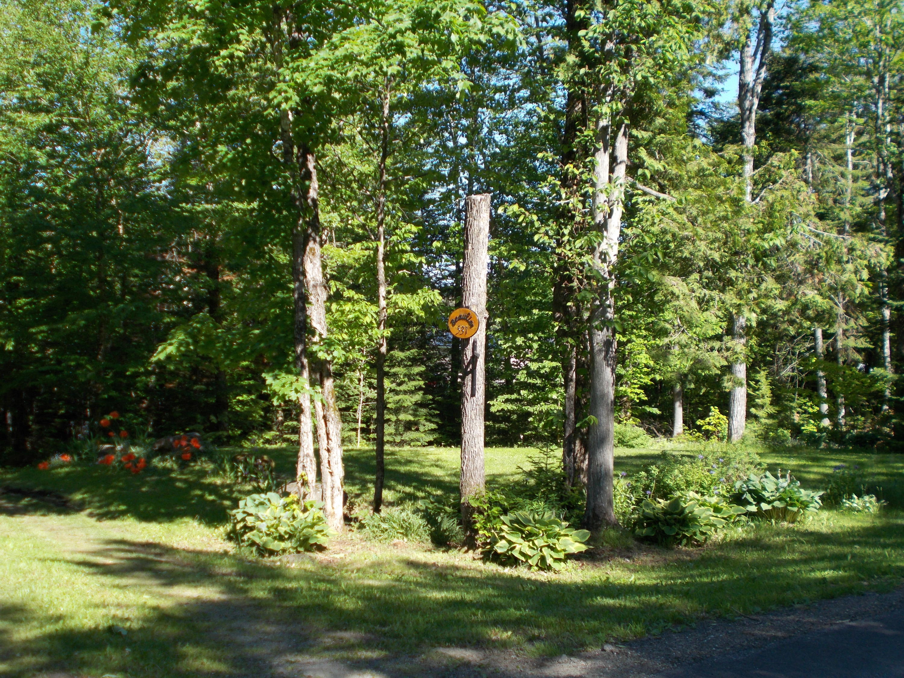 531 East Cottage Road Portage, ME 04768 - Photo 26 of 27 DSCN7164
