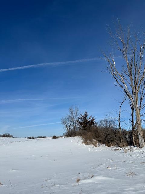 2665 230th Avenue St. Croix Falls, WI 54024 - Photo 14 of 20