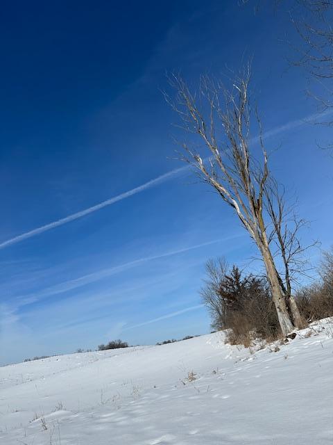 2665 230th Avenue St. Croix Falls, WI 54024 - Photo 17 of 20