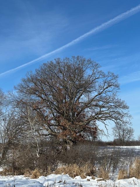2665 230th Avenue St. Croix Falls, WI 54024 - Photo 19 of 20