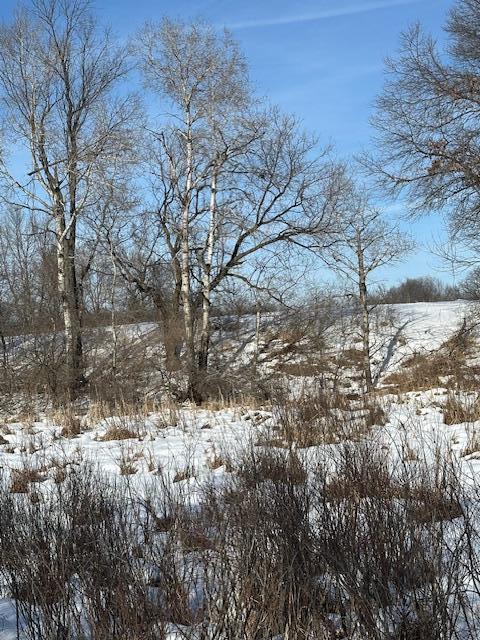 2665 230th Avenue St. Croix Falls, WI 54024 - Photo 20 of 20