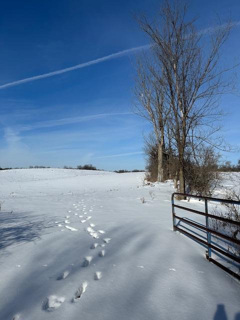 2665 230th Avenue St. Croix Falls, WI 54024 - Photo 3 of 20