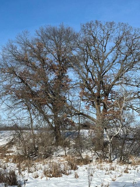 2665 230th Avenue St. Croix Falls, WI 54024 - Photo 4 of 20