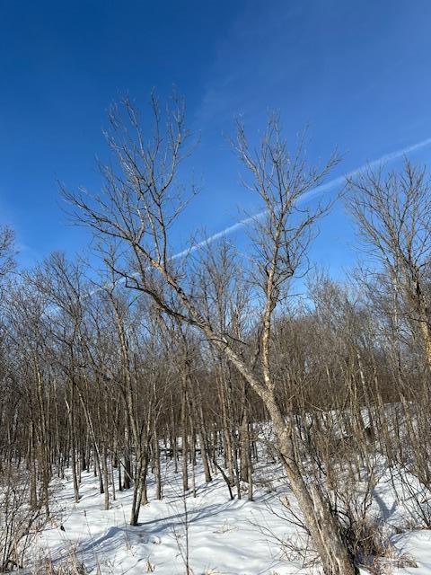 2665 230th Avenue St. Croix Falls, WI 54024 - Photo 5 of 20