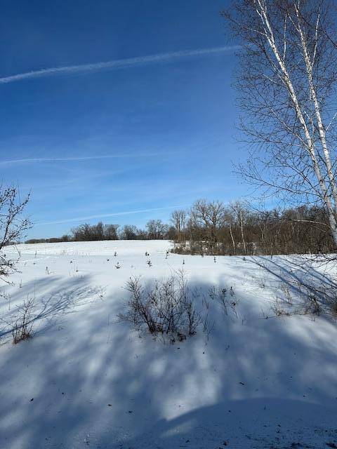 2665 230th Avenue St. Croix Falls, WI 54024 - Photo 6 of 20