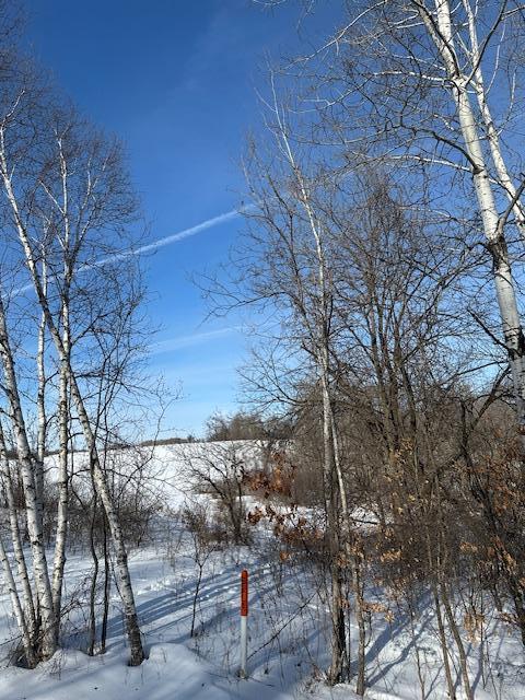 2665 230th Avenue St. Croix Falls, WI 54024 - Photo 7 of 20