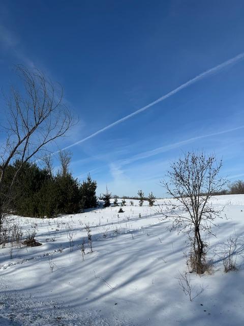 2665 230th Avenue St. Croix Falls, WI 54024 - Photo 8 of 20