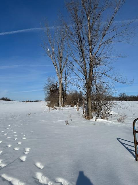 2665 230th Avenue St. Croix Falls, WI 54024 - Photo 10 of 20