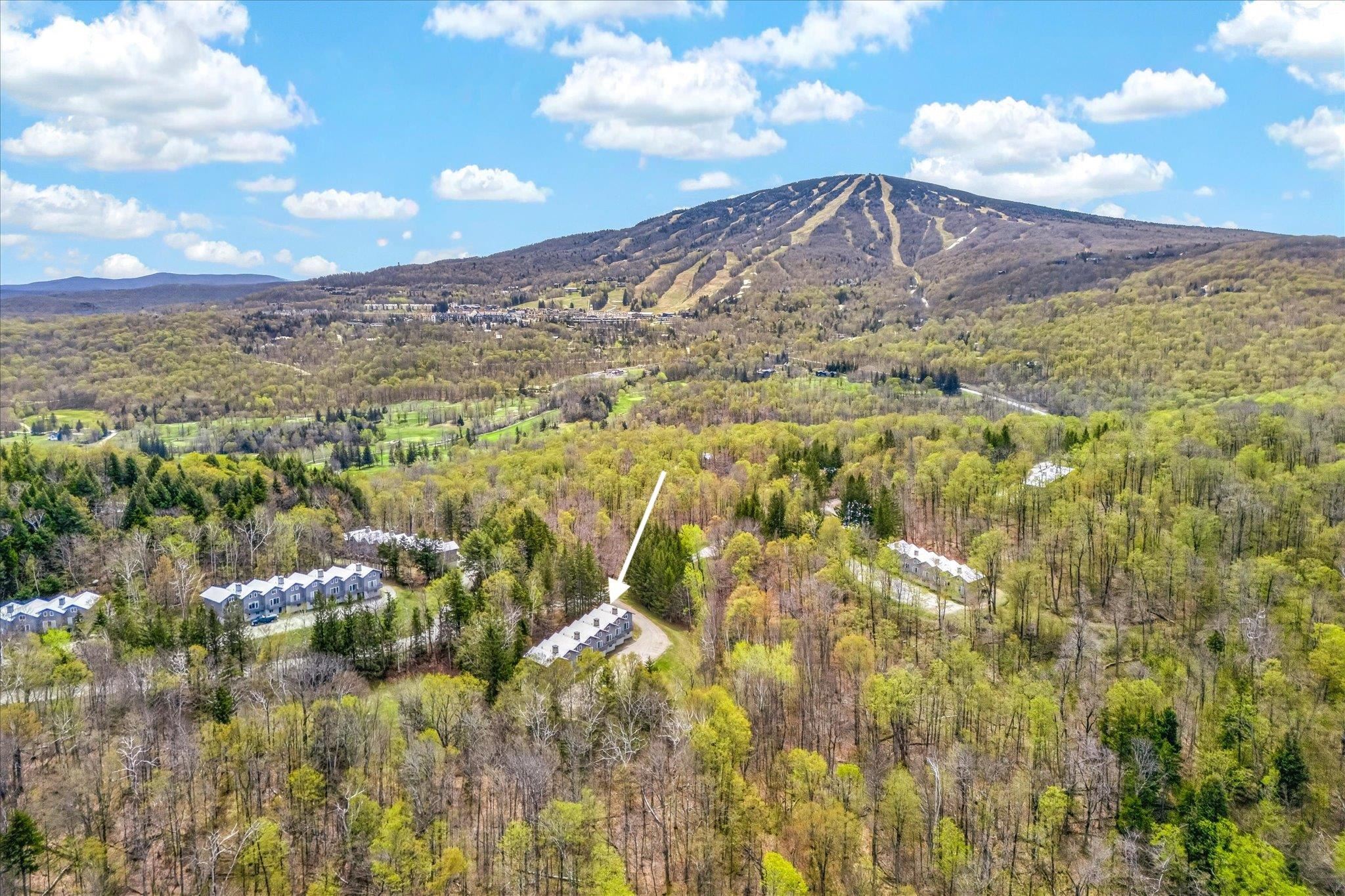 36 Birch Hill Road, Unit 8 RED MAPLE Winhall, VT 05340 - Photo 4 of 26