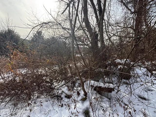 a view of a lake view