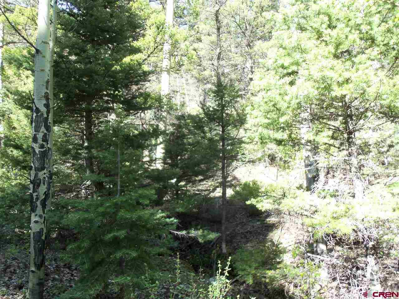 5286 Carlson Road Fort Garland, CO 81133 - Photo 3 of 6 Gallery Image 3