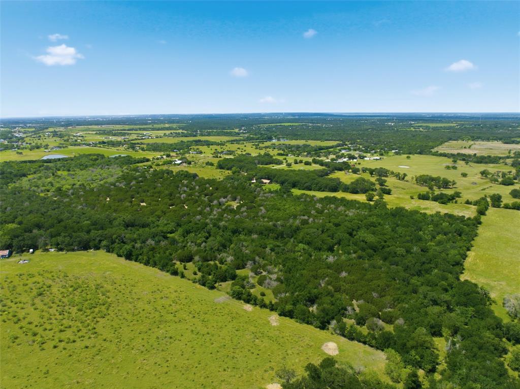 663 North Katy Road Elm Mott, TX 76640 - Photo 22 of 25 Expansive acreage featuring mature tree coverage