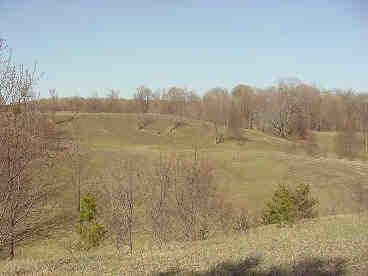 Rice Road Mesick, MI 49668 - Photo 3 of 4 Additional Photo