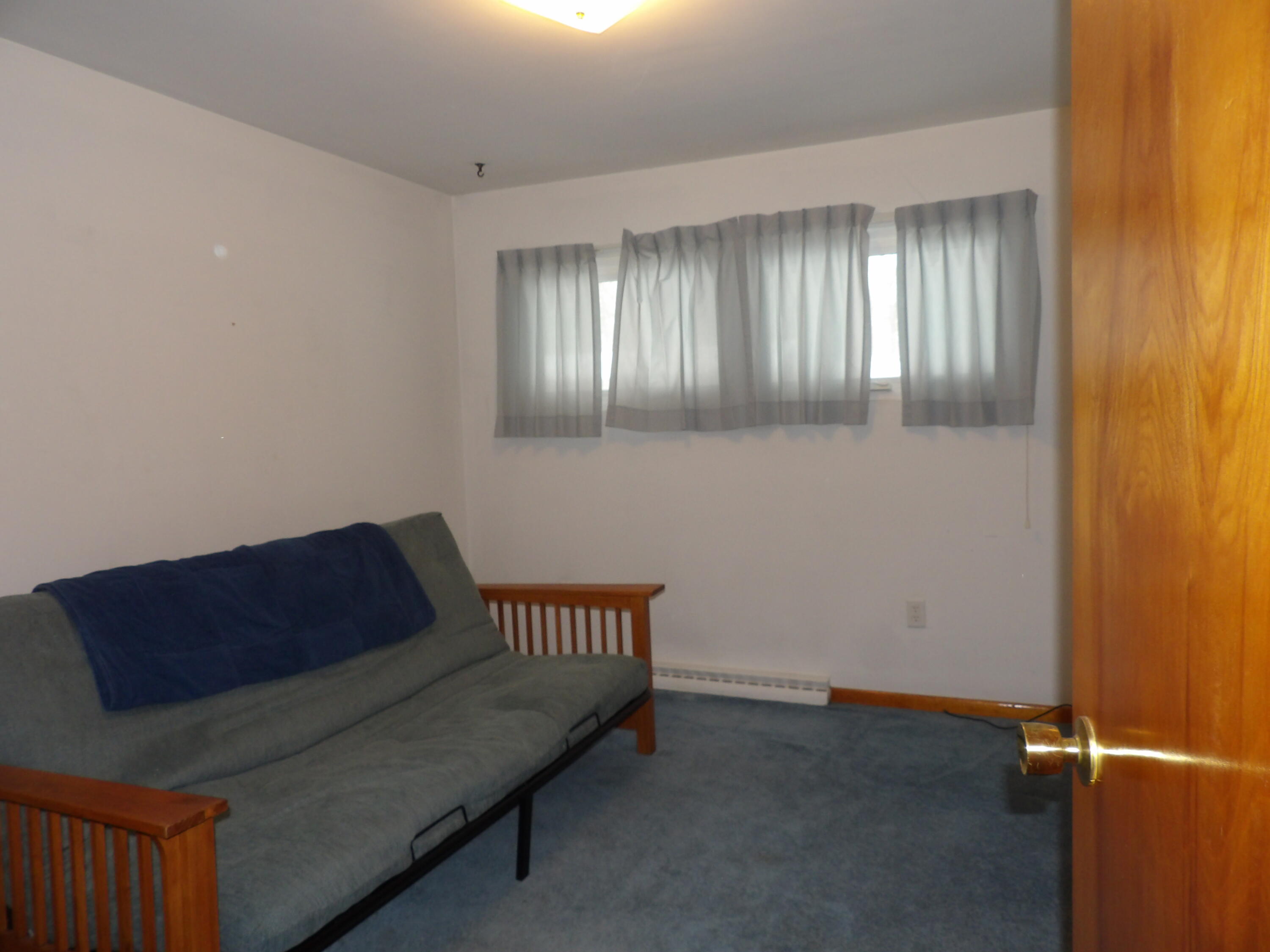 415 Remus Drive Buchanan, MI 49107 - Photo 20 of 61 100_0405