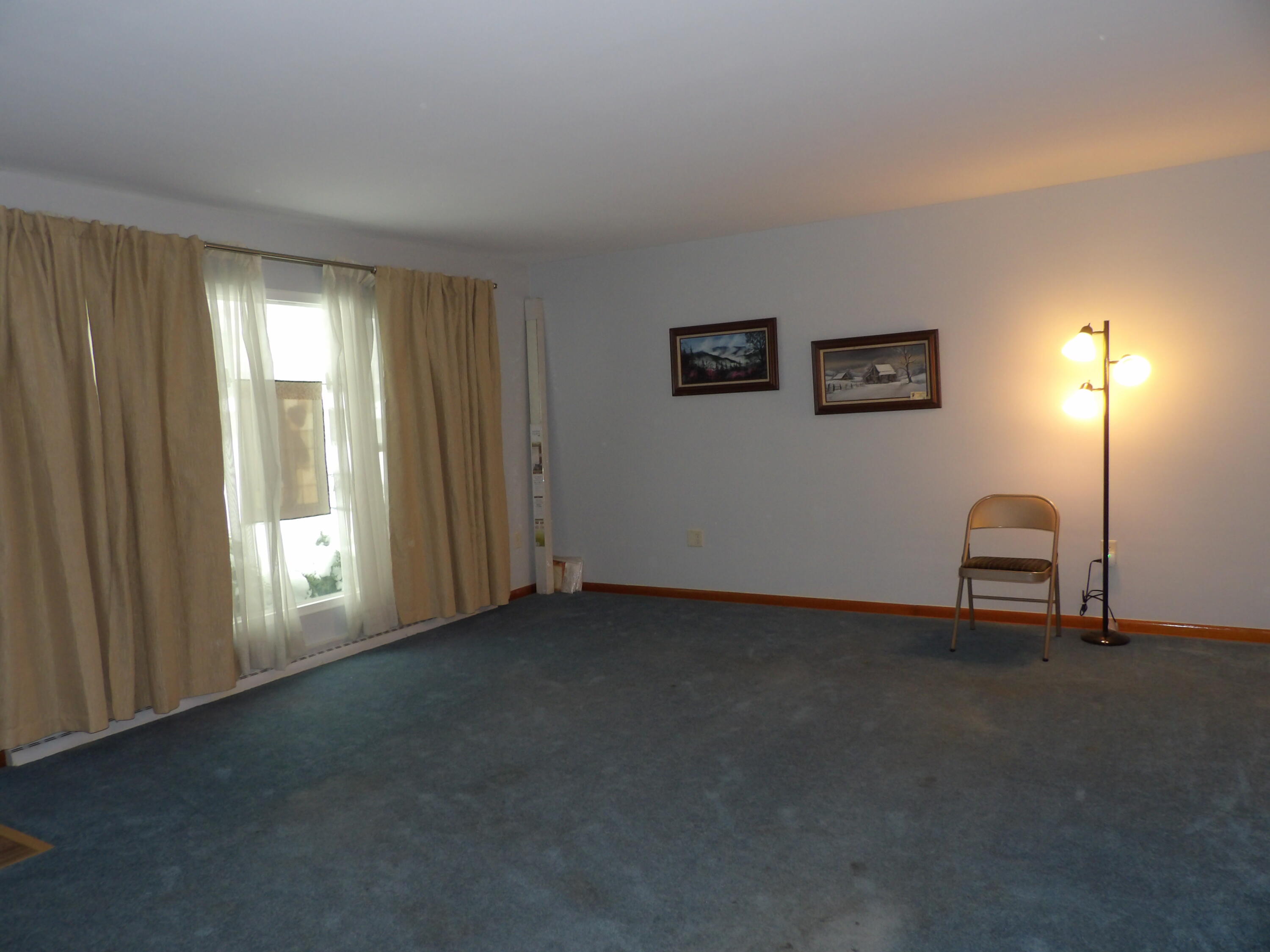415 Remus Drive Buchanan, MI 49107 - Photo 25 of 61 100_0388