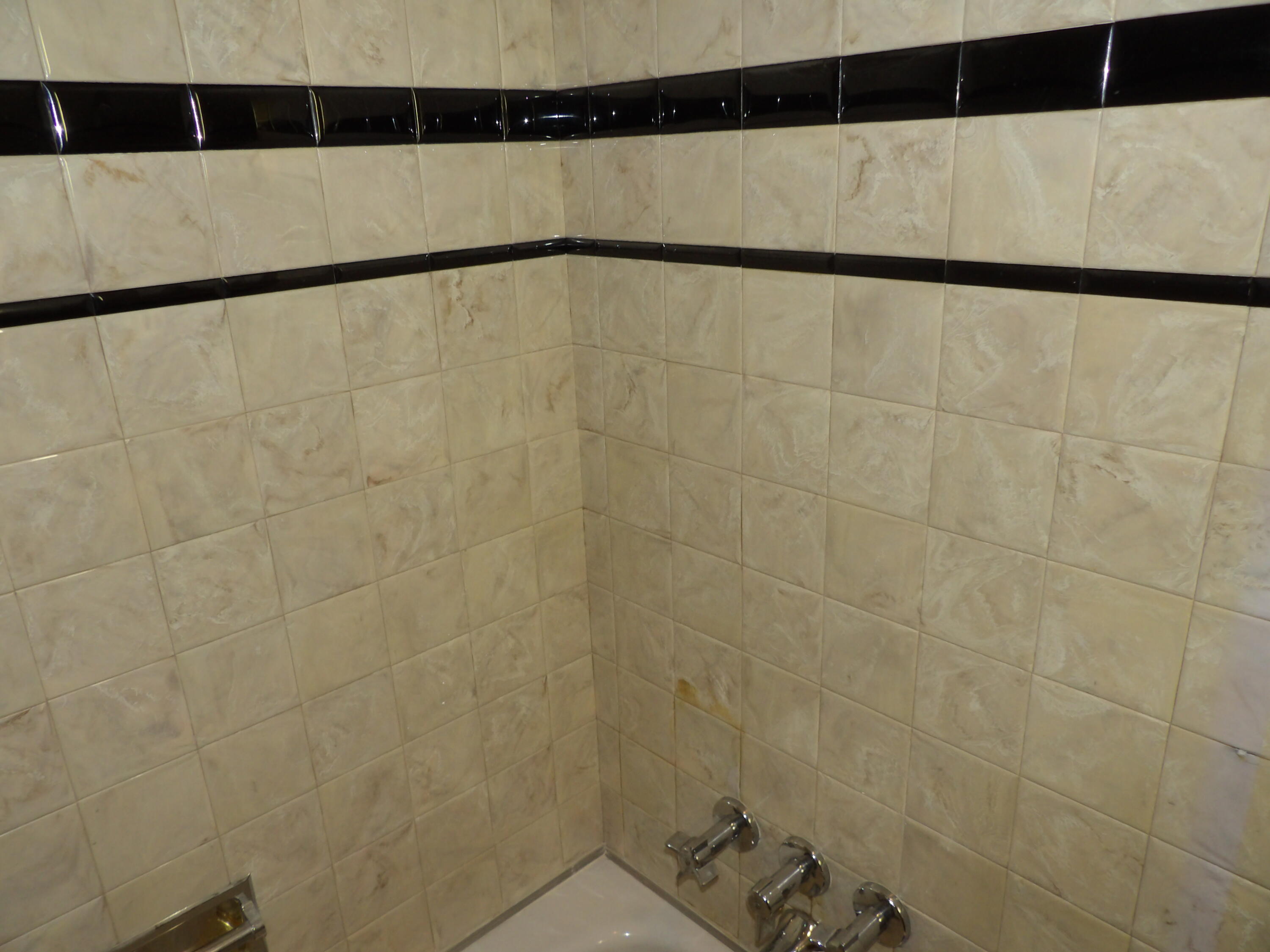 415 Remus Drive Buchanan, MI 49107 - Photo 28 of 61 100_0390