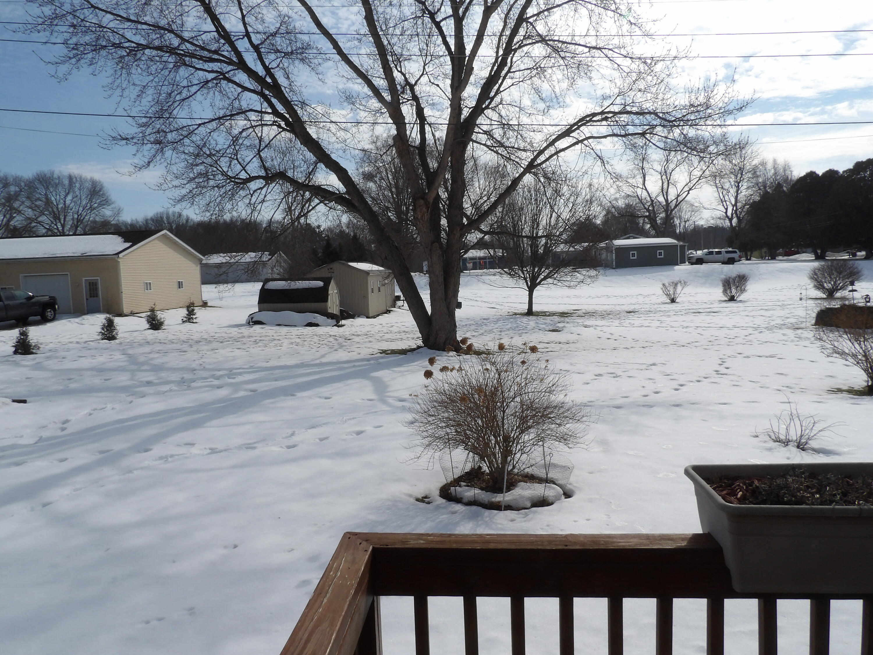 415 Remus Drive Buchanan, MI 49107 - Photo 33 of 61 100_0482
