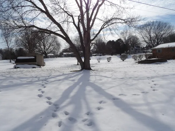 $259,900 | 415 Remus Drive, Buchanan, MI 49107