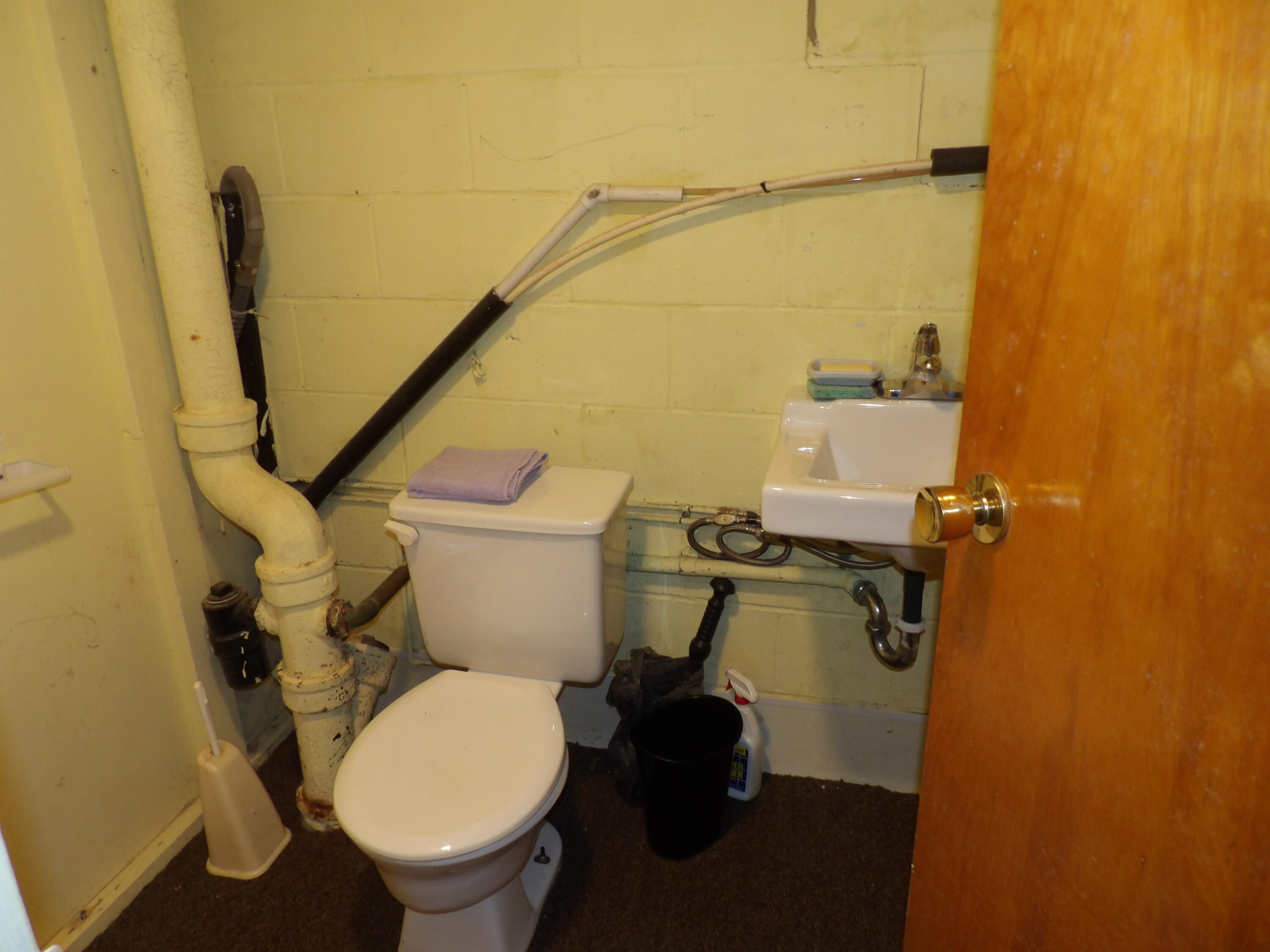 415 Remus Drive Buchanan, MI 49107 - Photo 46 of 61 100_0429