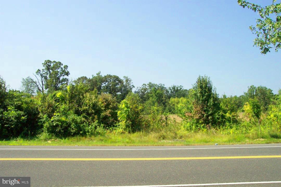 View of the lot from the street