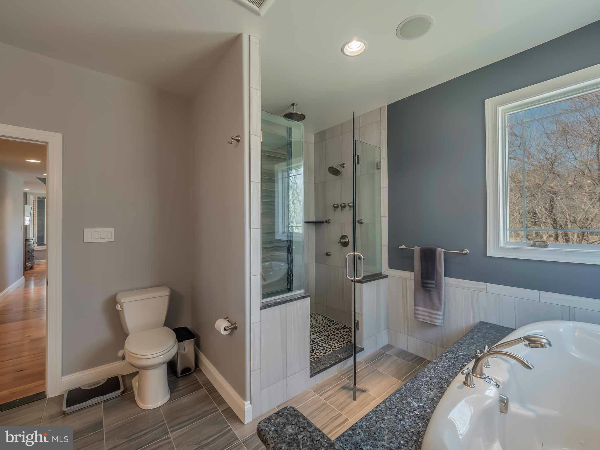 10 Back Creek Road Dowell, MD 20688 - Photo 16 of 30 Bath (Master)