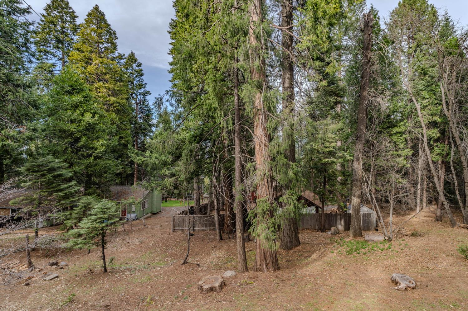 3105 Ridgecrest Way Pollock Pines, CA 95726 - Photo 48 of 63