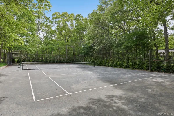 a view of a backyard with large trees