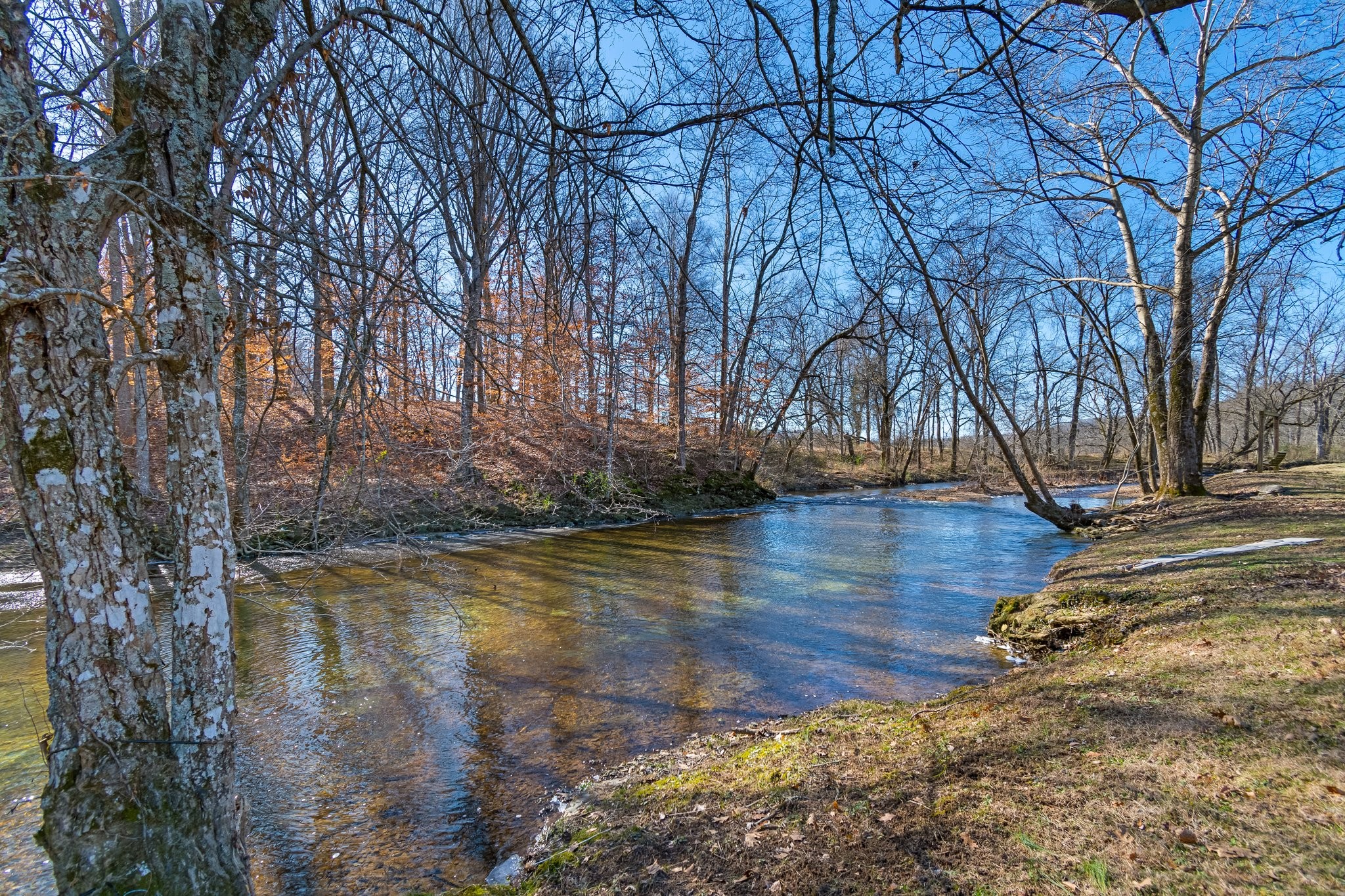 5190 Old Harding Road Franklin, TN 37064 - Photo 13 of 84
