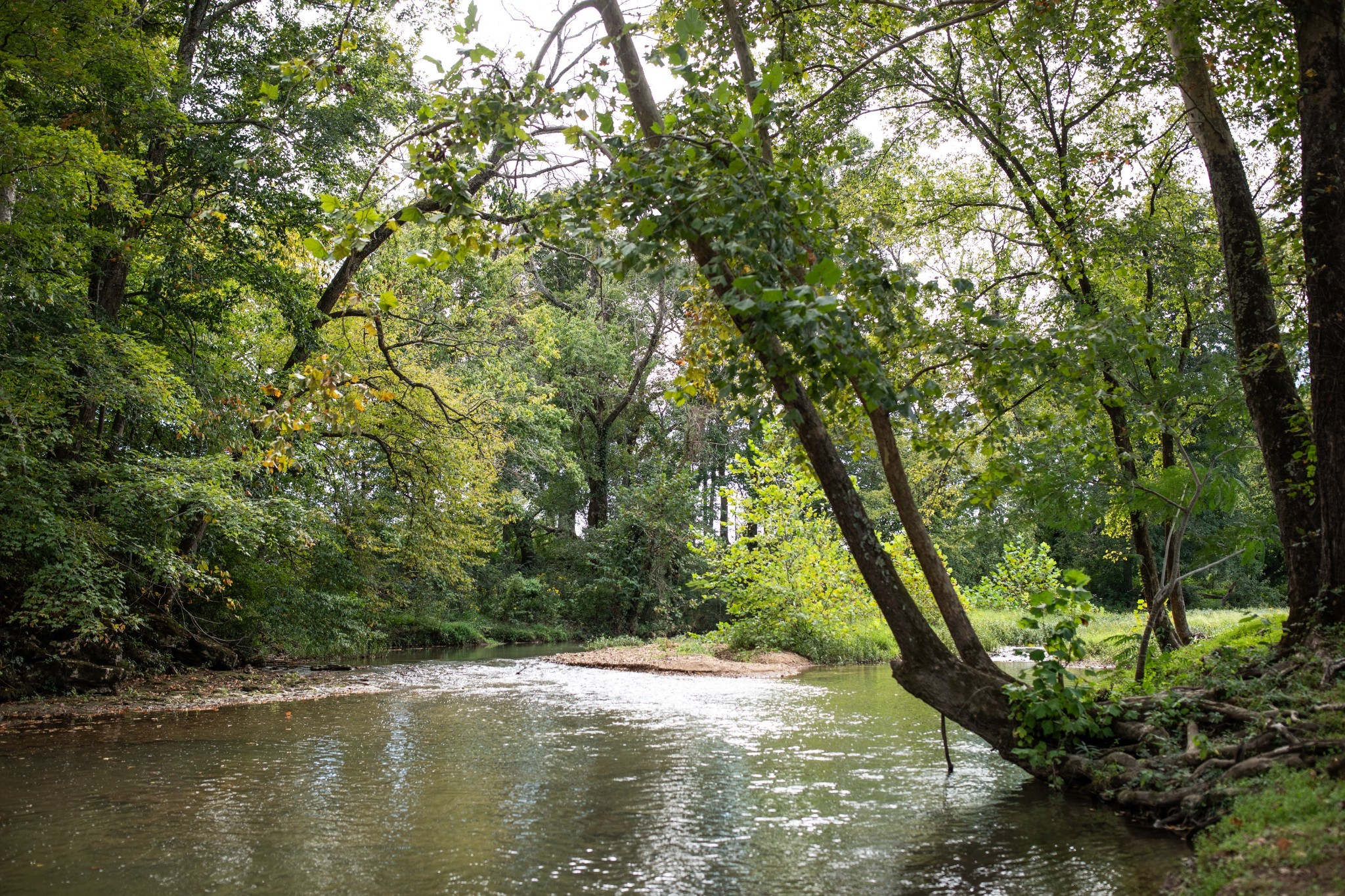 5190 Old Harding Road Franklin, TN 37064 - Photo 8 of 84