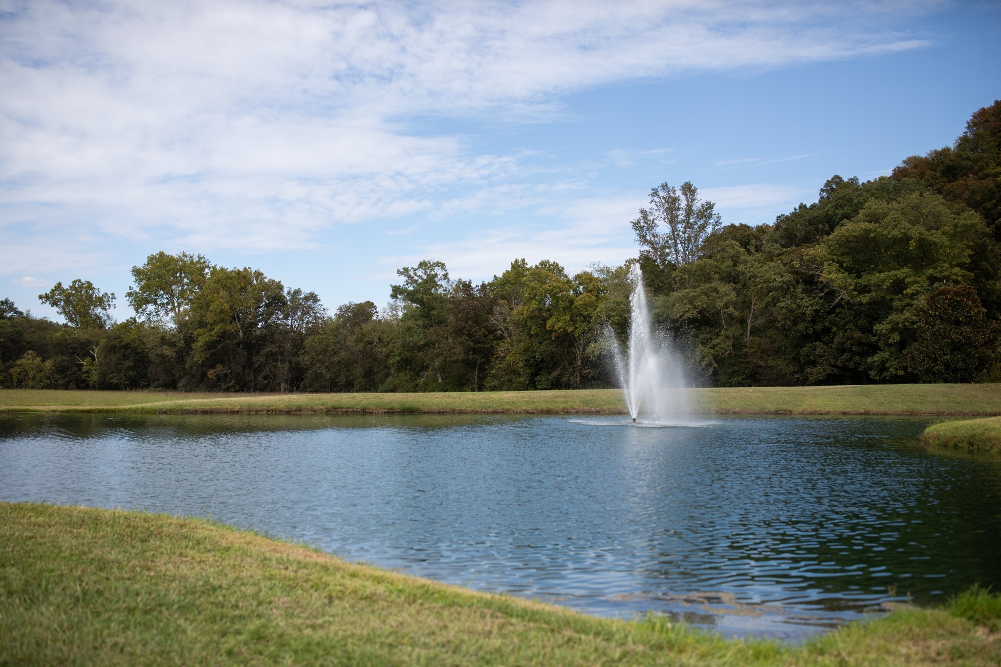 5190 Old Harding Road Franklin, TN 37064 - Photo 9 of 84