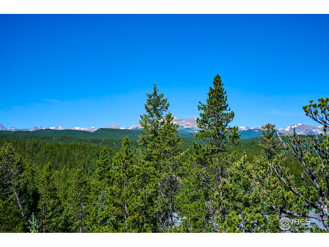 0 Pine Cone Circle Ward, CO 80481 - Photo 2 of 23 a view of a city