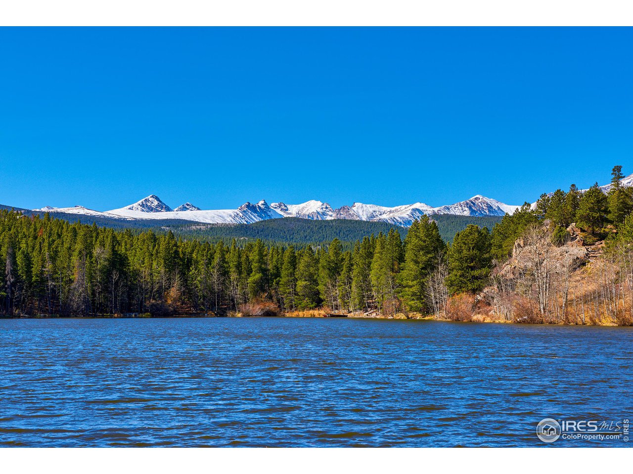 0 Pine Cone Circle Ward, CO 80481 - Photo 3 of 23 a view of a back yard
