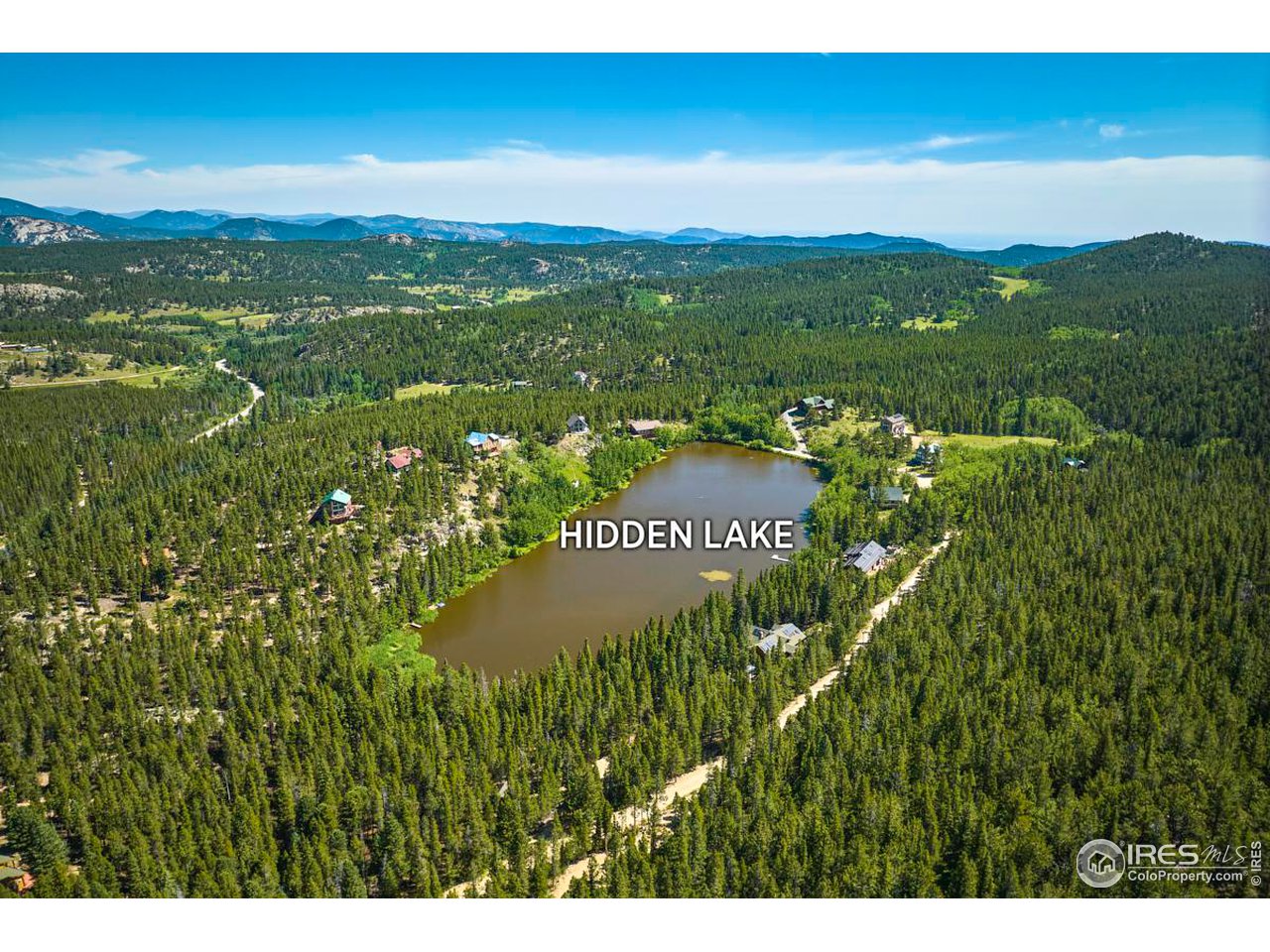 0 Pine Cone Circle Ward, CO 80481 - Photo 8 of 23 a view of a green field with lots of bushes