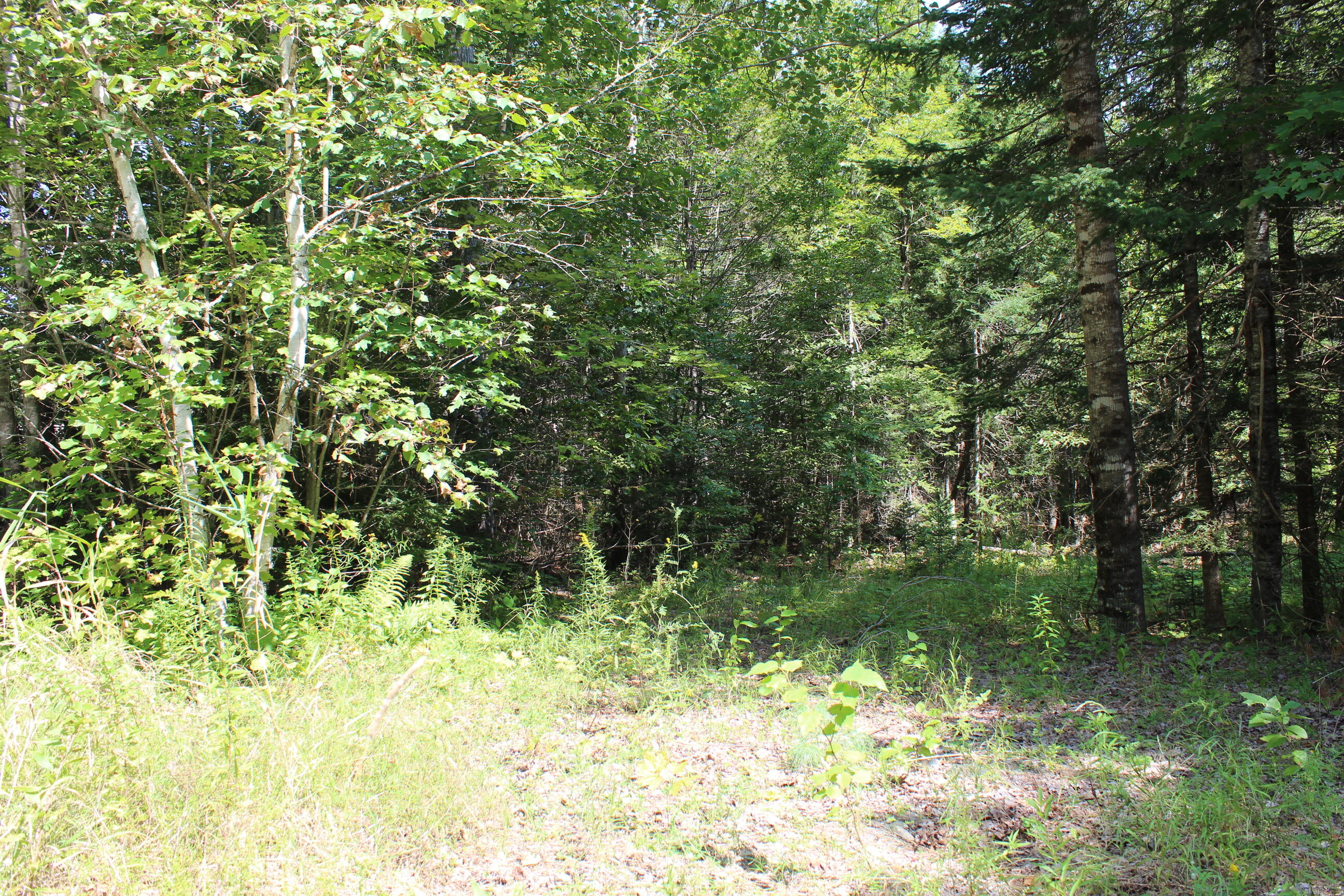 M62-2 Lt 3 M62-2 Road Belfast, ME 04915 - Photo 5 of 15 IMG_1269