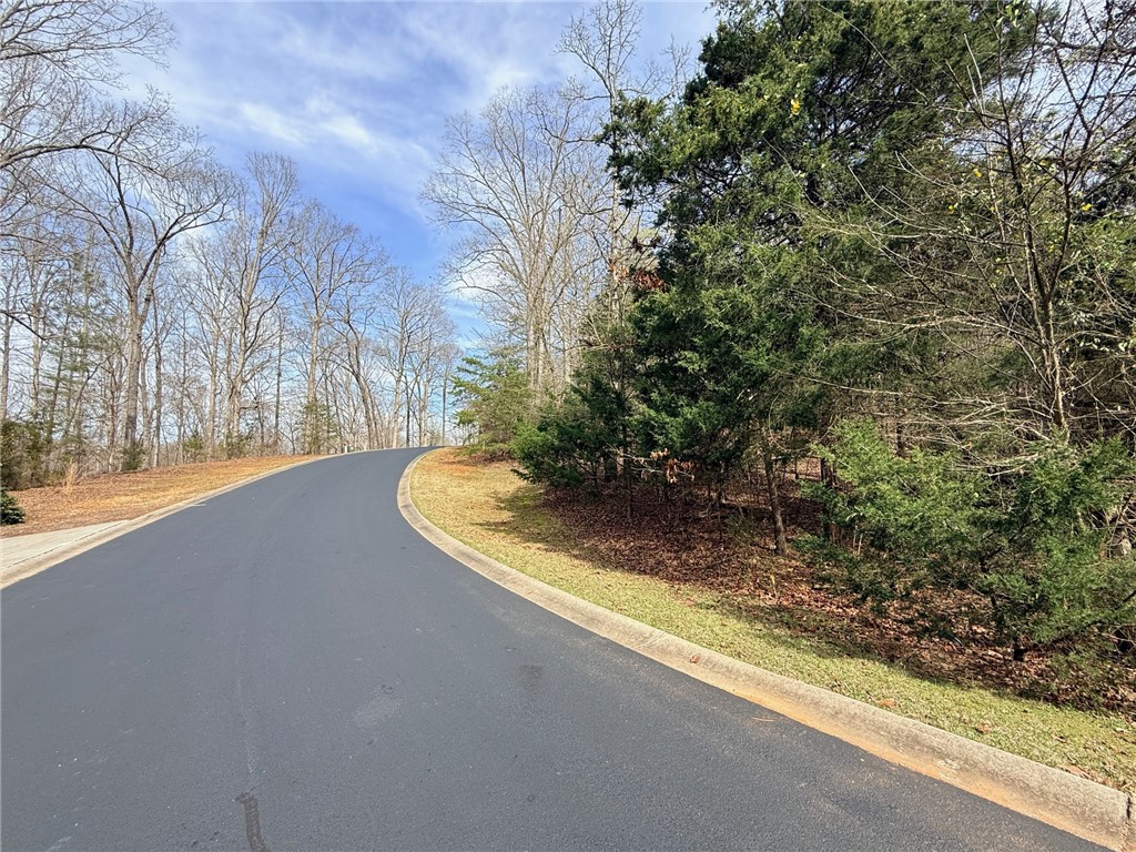 0 Overlook Drive Fair Play, SC 29643 - Photo 8 of 10