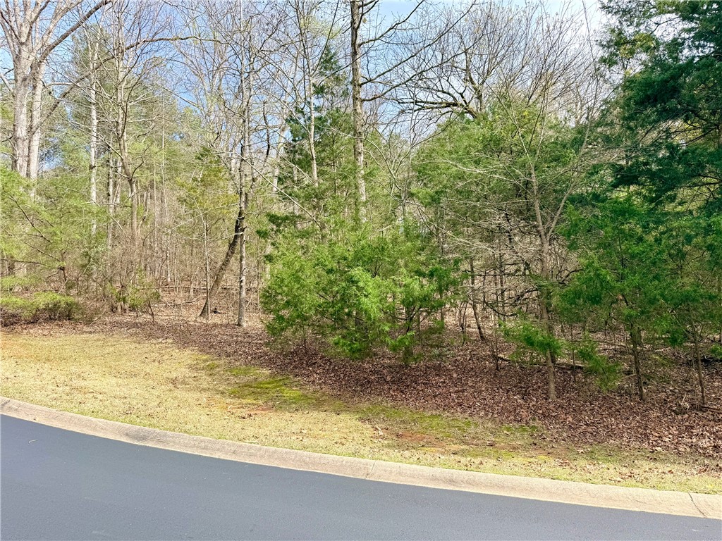 0 Overlook Drive Fair Play, SC 29643 - Photo 9 of 10 This verdant lot offers a serene setting for your future home.