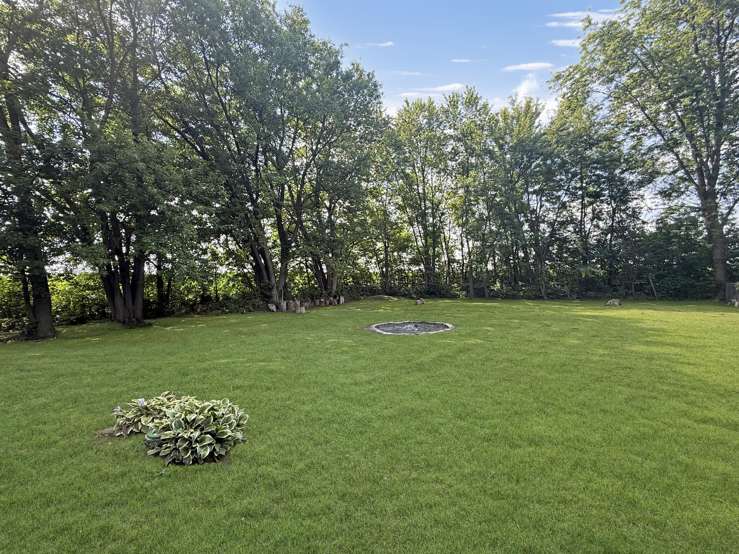 5843 West Stephenson St Road Freeport, IL 61032 - Photo 3 of 30 a green field with lots of trees in it