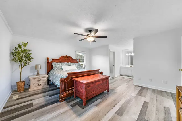 a view of a street with flower plants