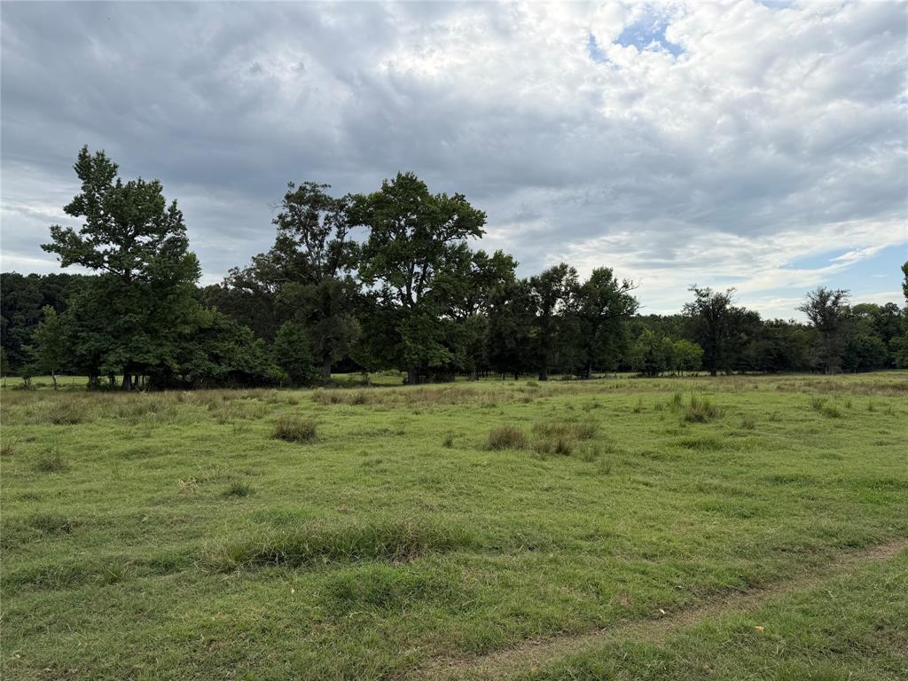 225 Farm To Market Road Pittsburg, TX 75686 - Photo 19 of 19 Gallery Image 19