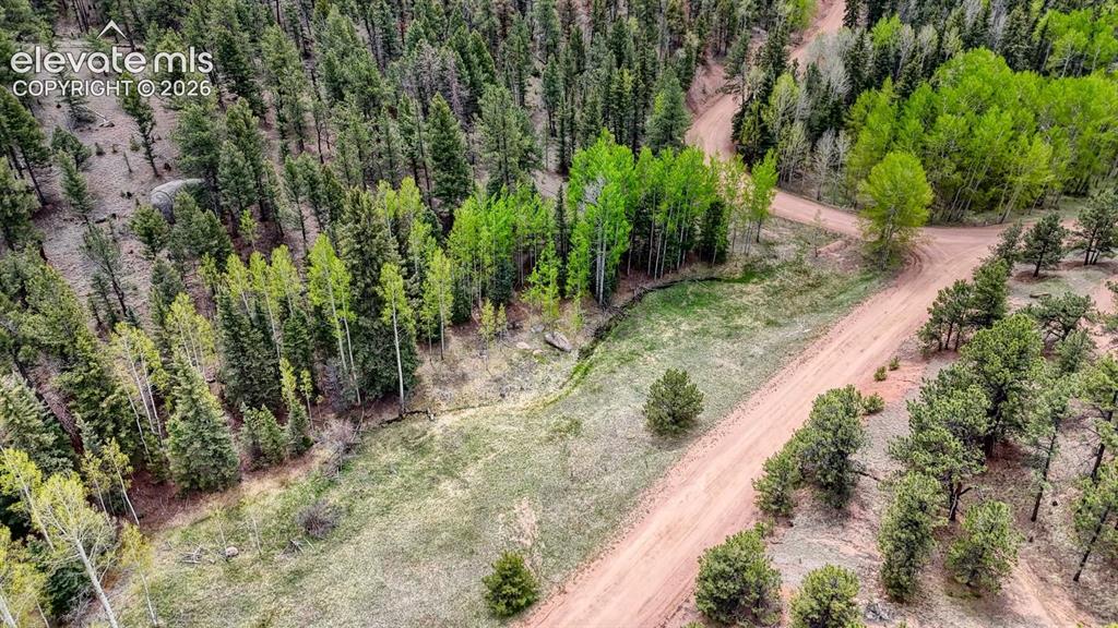 42 Rabbit Circle Florissant, CO 80816 - Photo 18 of 20 a view of a yard with plants and large trees