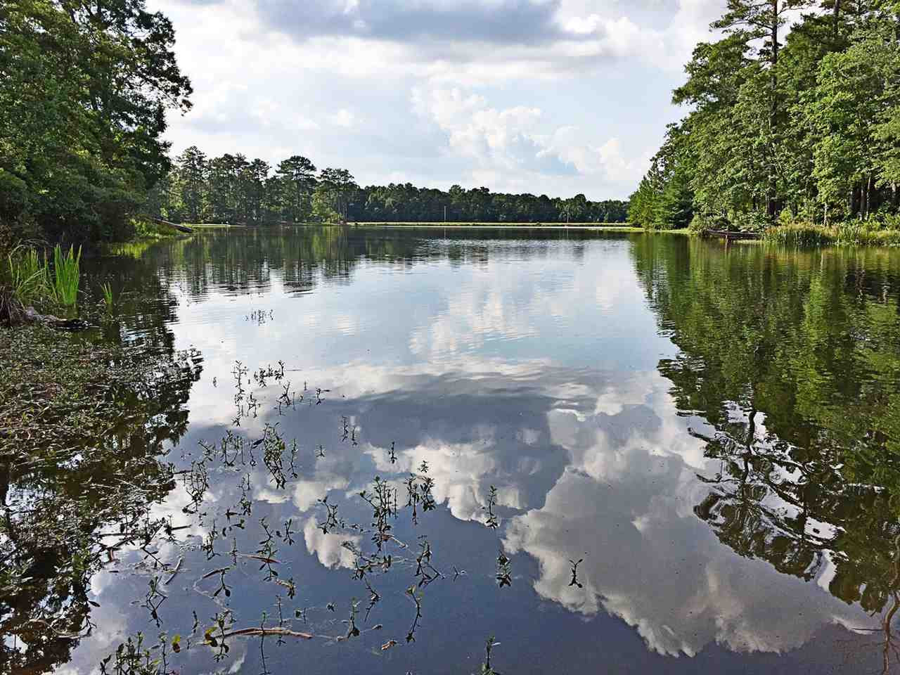 439 Point Drive Brandon, MS 39047 - Photo 21 of 24 Photo 22